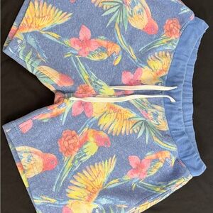 Chubbies Floral Parrot Print sweat Shorts